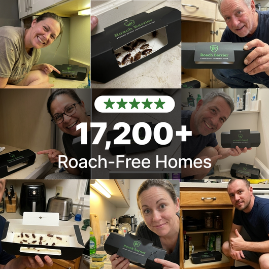 RoachBarrier Cockroach Trap